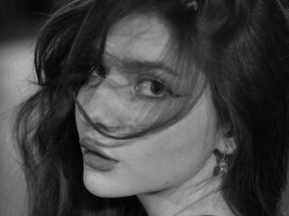 cam girl spreading pussy VelvetMeow